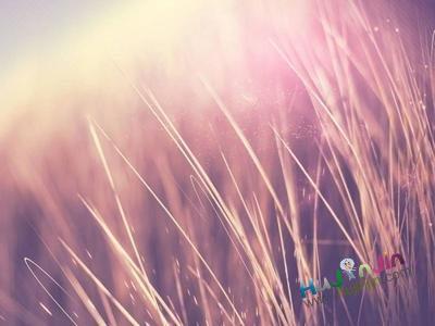 ���ʱ��������Ȧ